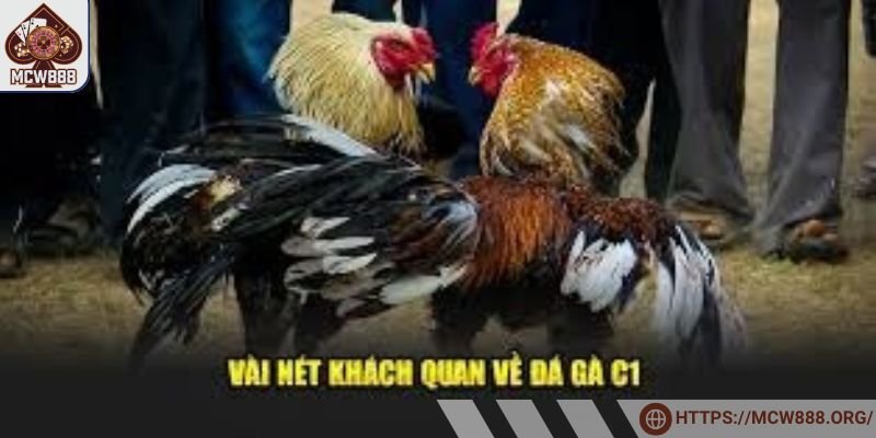 Hình thức đá gà truyền thống vẫn được ưa chuộng hiện nay